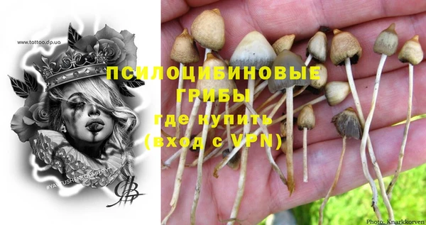 прущий лед Аркадак