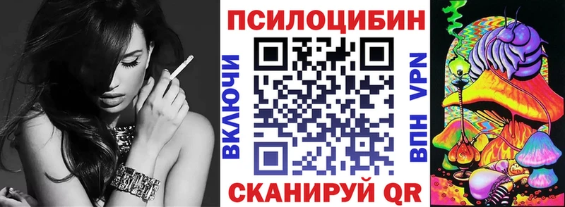 Псилоцибиновые грибы Psilocybe  купить наркотик  Фролово 